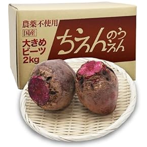 ビーツ - Amazon.co.jp